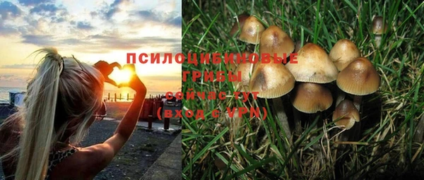 гашик Верея