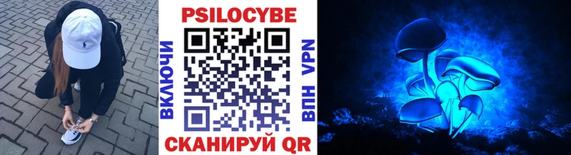 купить   Высоковск  это клад  Галлюциногенные грибы мицелий  MEGA ссылка 